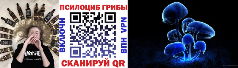 Галлюциногенные грибы прущие грибы  как найти закладки  Ессентукская 